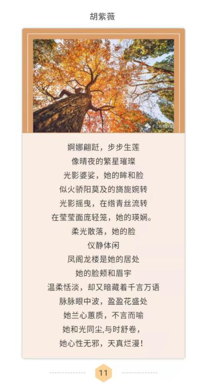 英国威廉集团官网