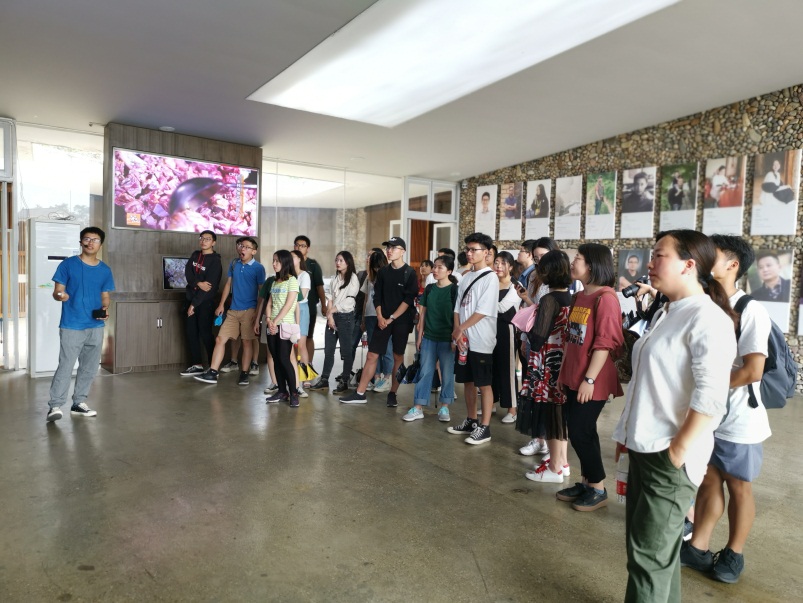 英国威廉集团官网