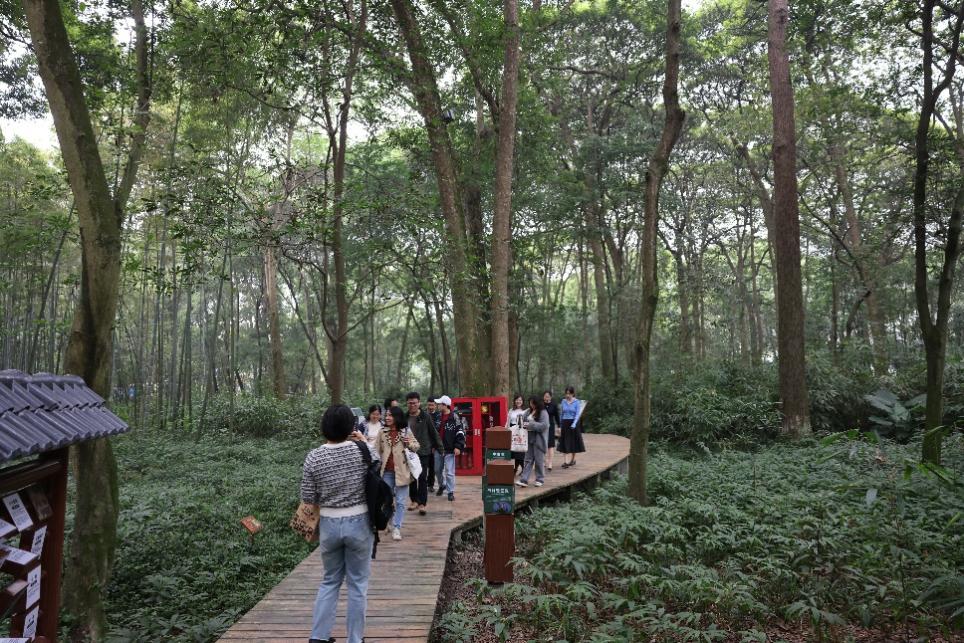 英国威廉集团官网