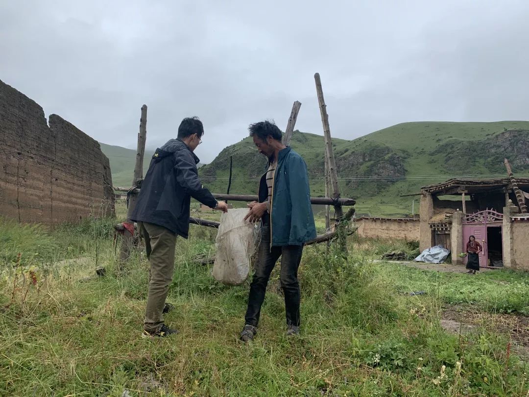 英国威廉集团官网