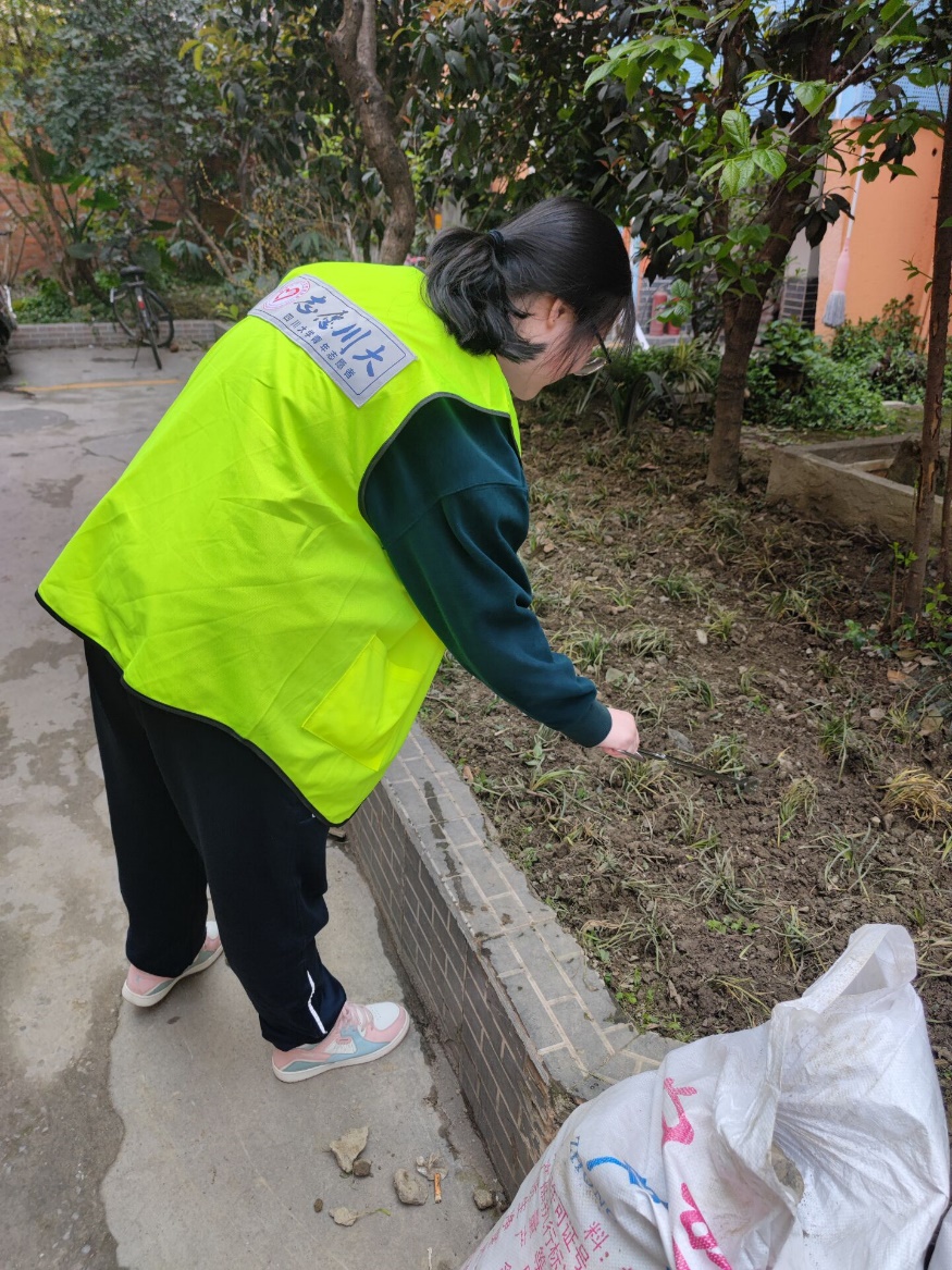 英国威廉集团官网