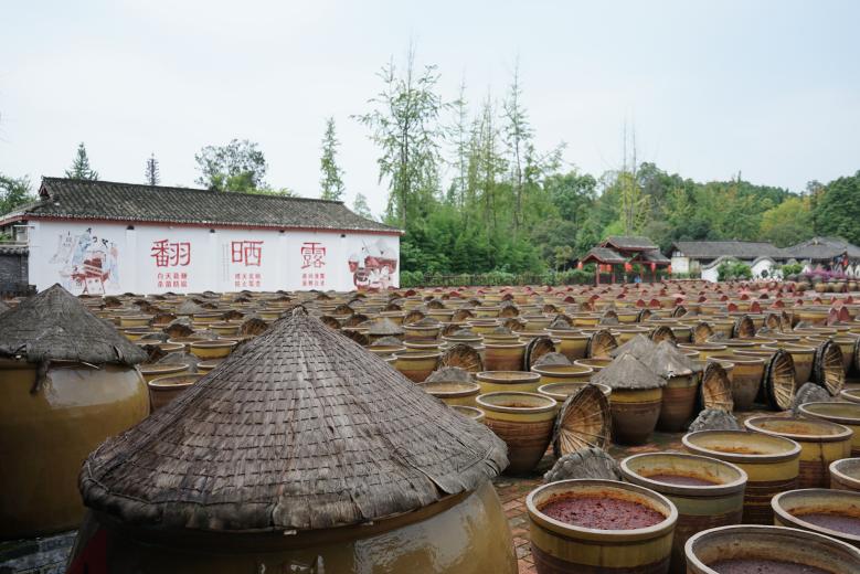 英国威廉集团官网