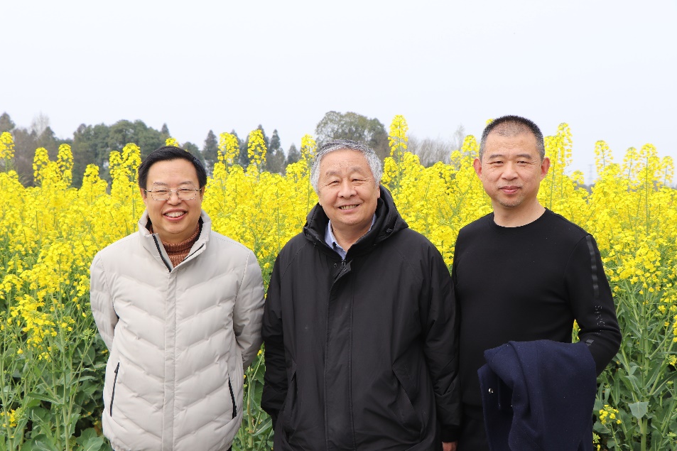 英国威廉集团官网