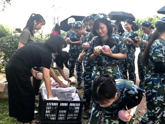 英国威廉集团官网