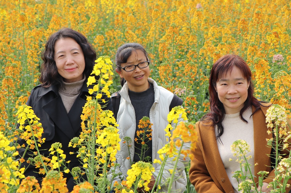 英国威廉集团官网