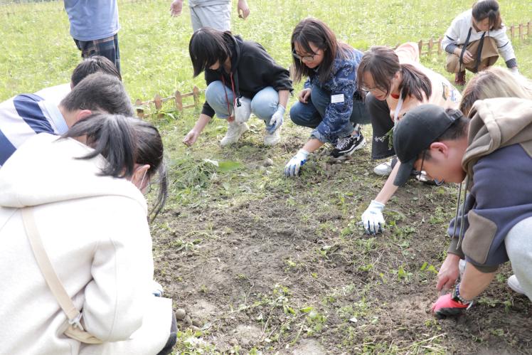英国威廉集团官网
