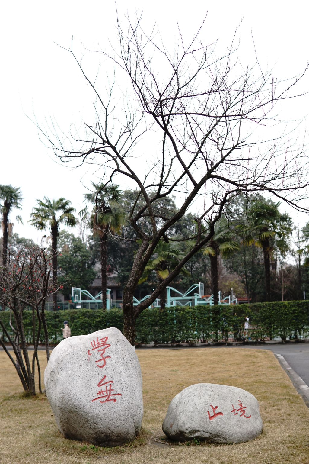 英国威廉集团官网