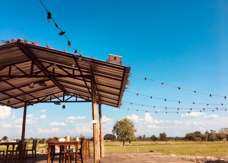 英国威廉集团官网