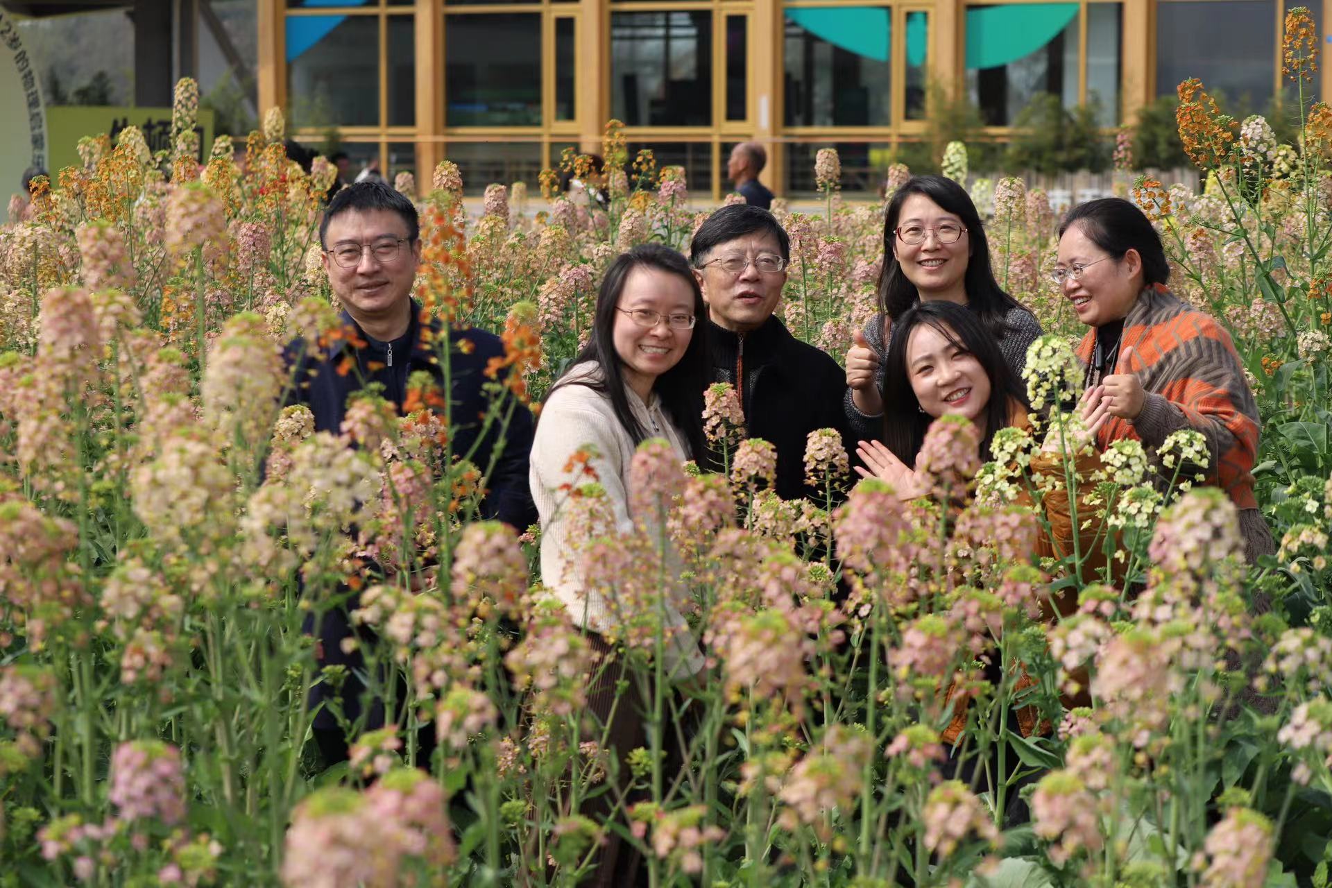 英国威廉集团官网