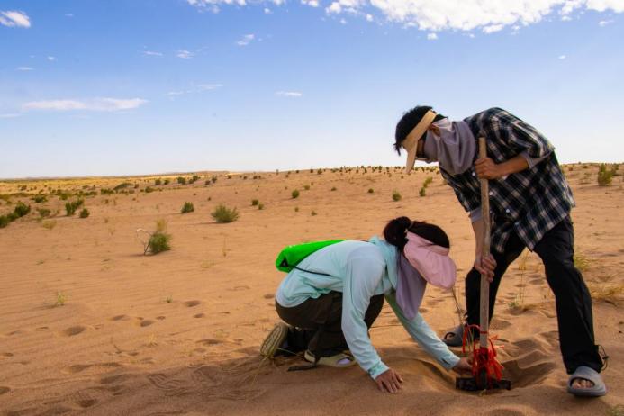 英国威廉集团官网