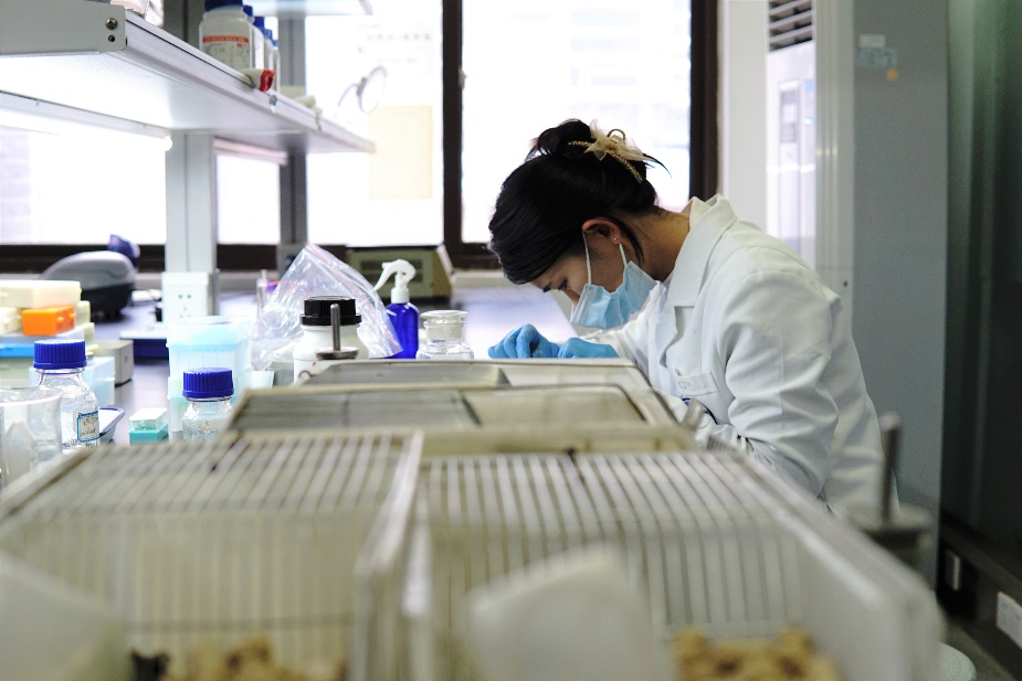 英国威廉集团官网