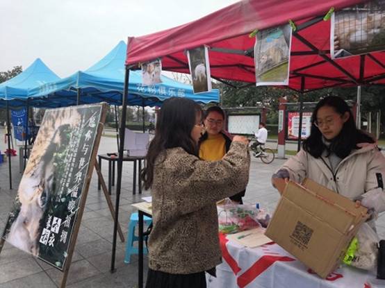 英国威廉集团官网